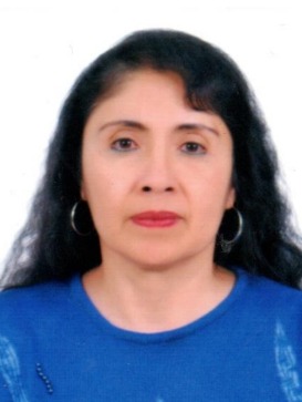 Imagen de Rocio Mary Quequezana Guevara