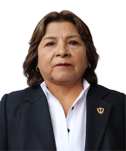 Imagen de regina huilca