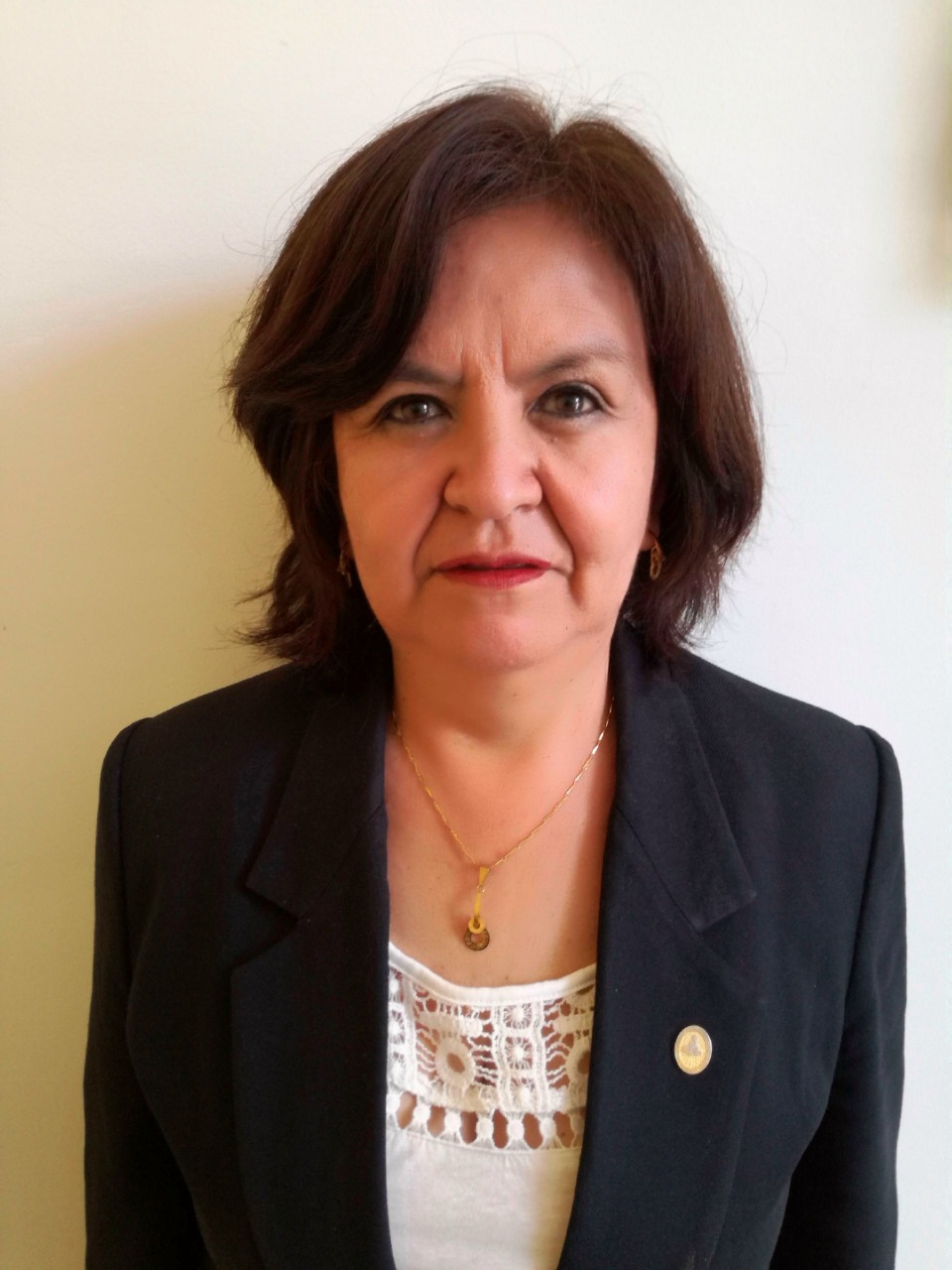 Imagen de Herly Fredy Enrique Zegarra Aragon